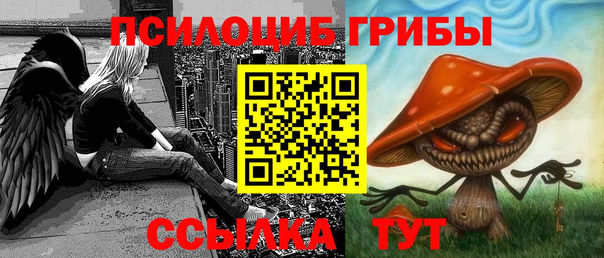 Псилоцибиновые грибы Cubensis  Вход с VPN  Саратов 